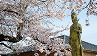 4月の行事